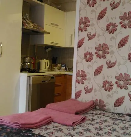 Our Guest Apartment *